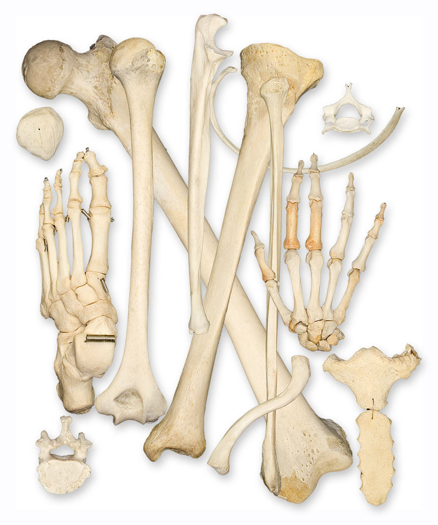 Do you love your bones?